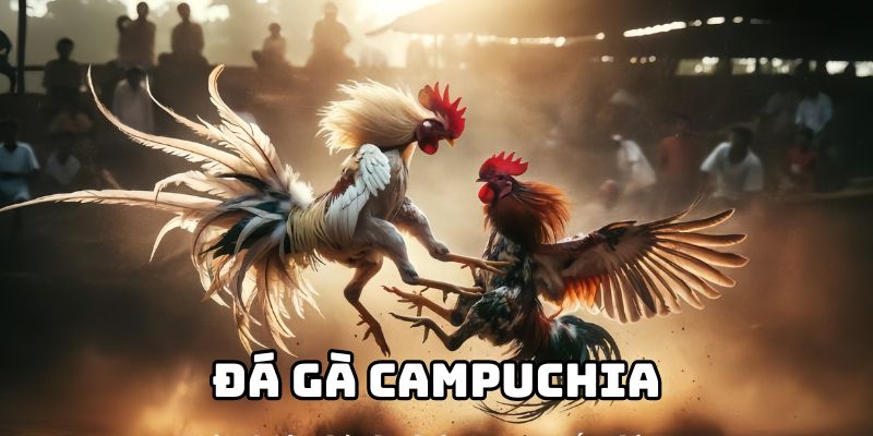 Đá gà Campuchia